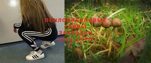 каннабис Верхний Тагил