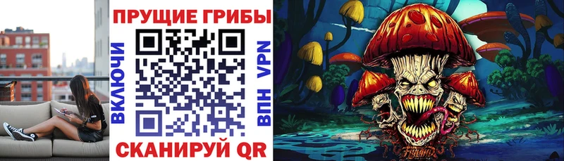 что такое   Мытищи  Галлюциногенные грибы прущие грибы 